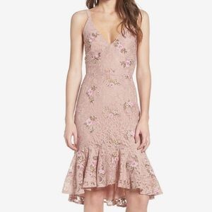 WAYF blush lace dress